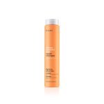 ABH / Repair Shampoo 250ml - Soin Réparateur pour des Cheveux Sublimés